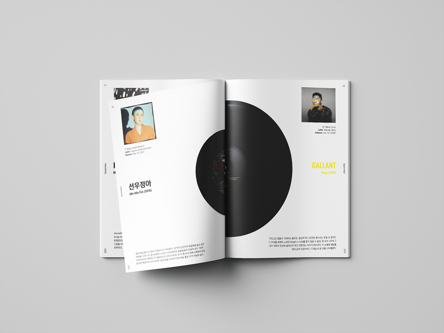 Inner spread, pages 12 and 13, of A Week of Vinyl Records